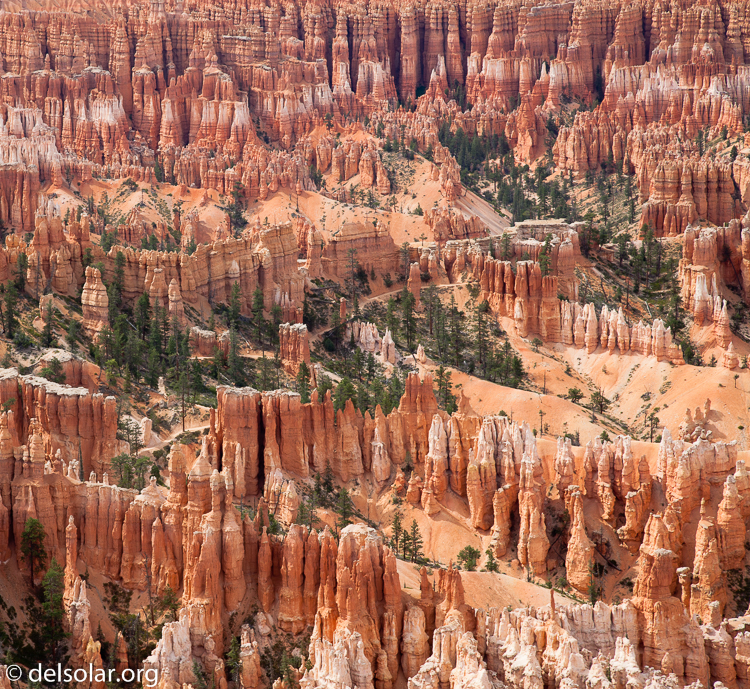 Canon EOS 5D Mark II  --  84 mm  --  EF24-105mm f/4L IS USM  