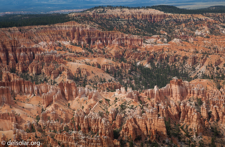 Canon EOS 5D Mark II  --  80 mm  --  EF24-105mm f/4L IS USM  