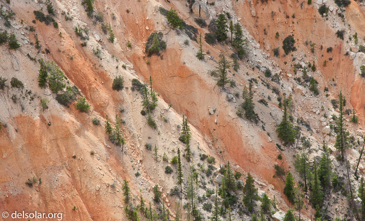 Canon EOS 5D Mark II  --  95 mm  --  EF24-105mm f/4L IS USM  