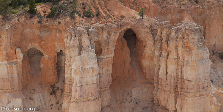 Canon EOS 5D Mark II  --  97 mm  --  EF24-105mm f/4L IS USM  