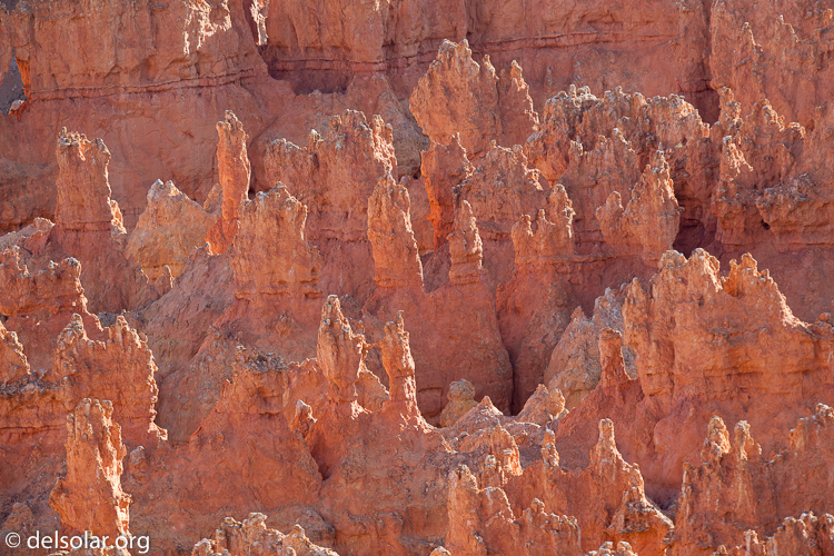 Canon EOS 5D Mark II  --  300 mm  --  EF300mm f/2.8L IS USM  