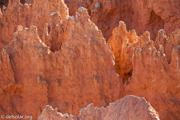 Canon EOS 5D Mark II  --  300 mm  --  EF300mm f/2.8L IS USM  