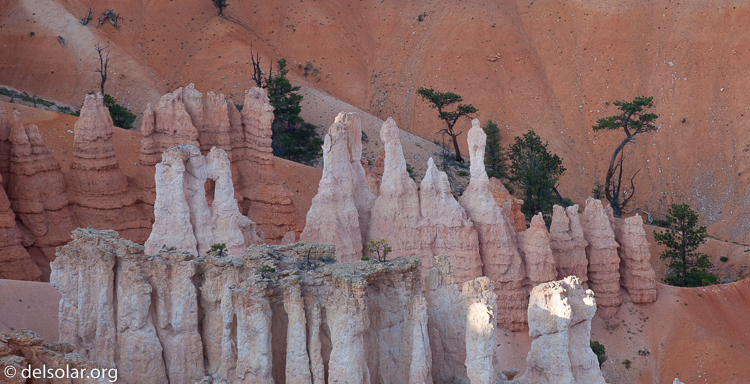 Canon EOS 5D Mark II  --  180 mm  --  EF70-200mm f/4L USM  