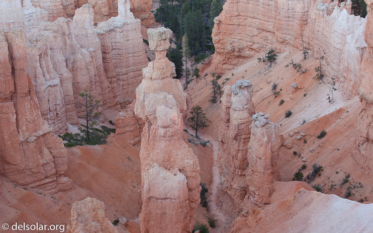 Canon EOS 5D Mark II  --  70 mm  --  EF70-200mm f/4L USM  