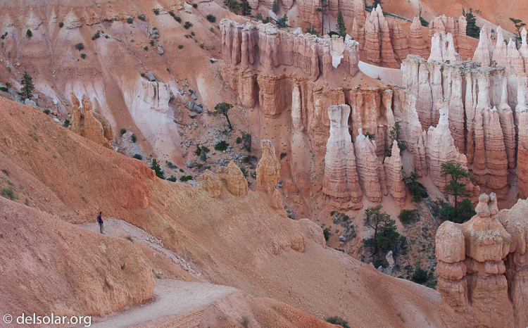 Canon EOS 5D Mark II  --  75 mm  --  EF70-200mm f/4L USM  