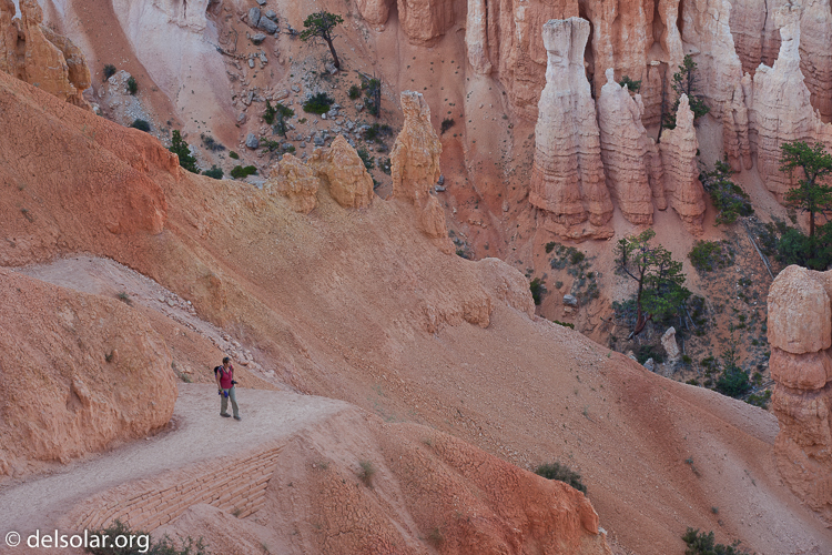 Canon EOS 5D Mark II  --  109 mm  --  EF70-200mm f/4L USM  