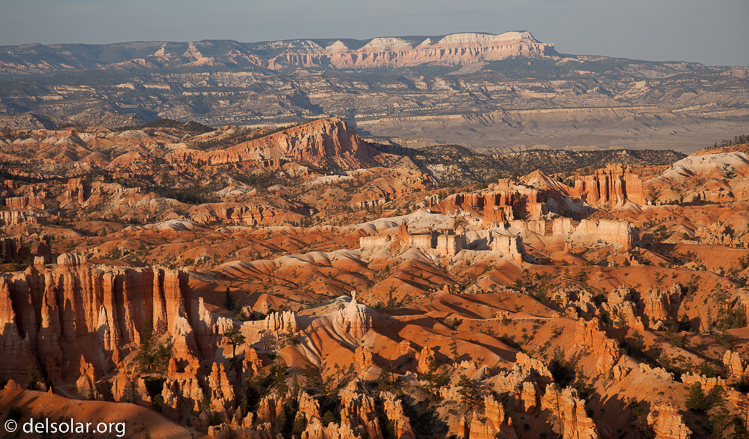 Canon EOS 5D Mark II  --  80 mm  --  EF24-105mm f/4L IS USM  