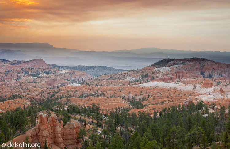 Canon EOS 5D Mark II  --  47 mm  --  EF24-105mm f/4L IS USM  