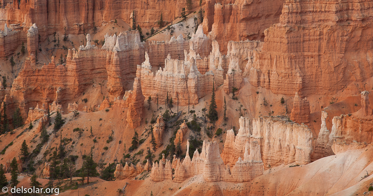 Canon EOS 5D Mark II  --  88 mm  --  EF24-105mm f/4L IS USM  