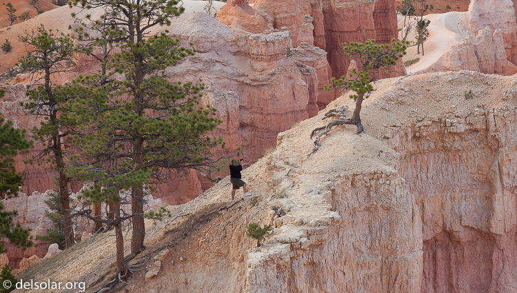 Canon EOS 5D Mark II  --  180 mm  --  EF70-200mm f/4L USM  