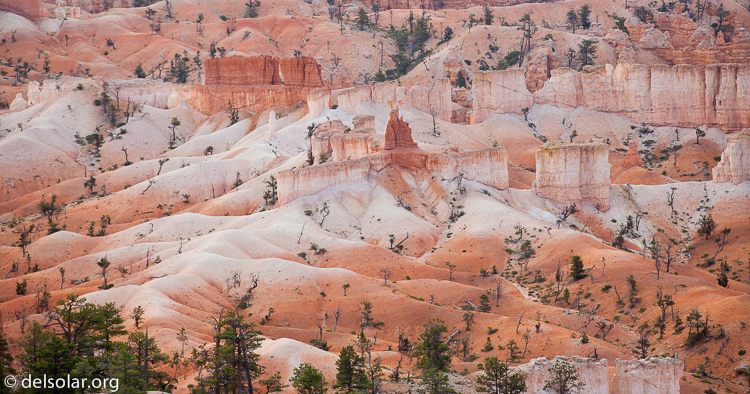 Canon EOS 5D Mark II  --  180 mm  --  EF70-200mm f/4L USM  