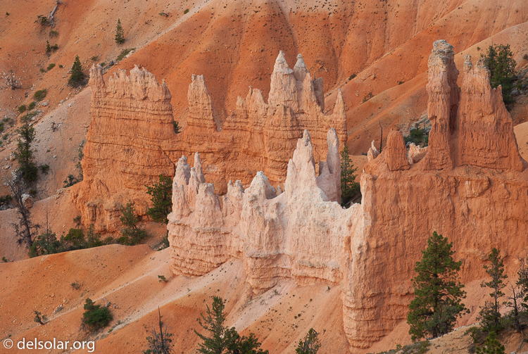 Canon EOS 5D Mark II  --  149 mm  --  EF70-200mm f/4L USM  