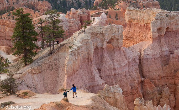 Canon EOS 5D Mark II  --  78 mm  --  EF70-200mm f/4L USM  