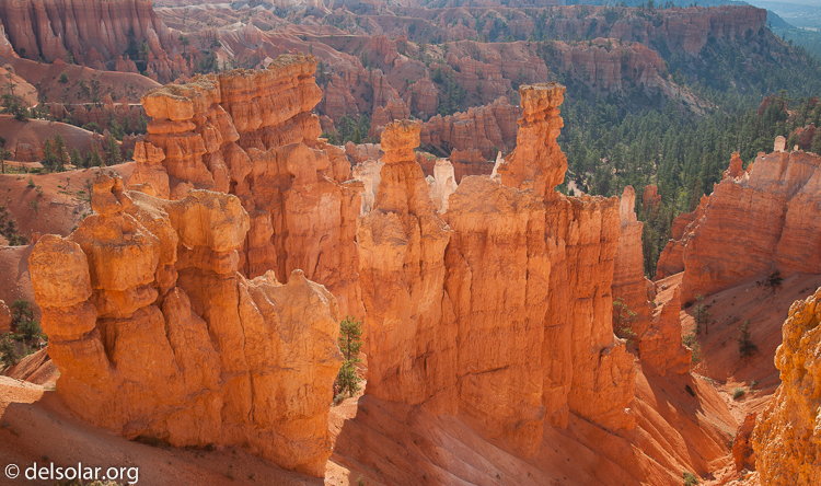 Canon EOS 5D Mark II  --  35 mm  --  EF24-105mm f/4L IS USM  