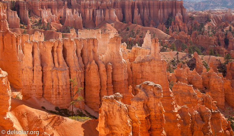 Canon EOS 5D Mark II  --  45 mm  --  EF24-105mm f/4L IS USM  