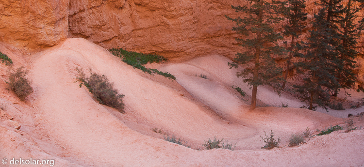 Canon EOS 5D Mark II  --  32 mm  --  EF24-105mm f/4L IS USM  