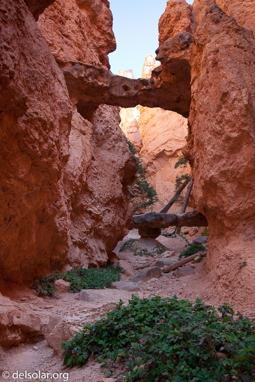 Canon EOS 5D Mark II  --  32 mm  --  EF24-105mm f/4L IS USM  