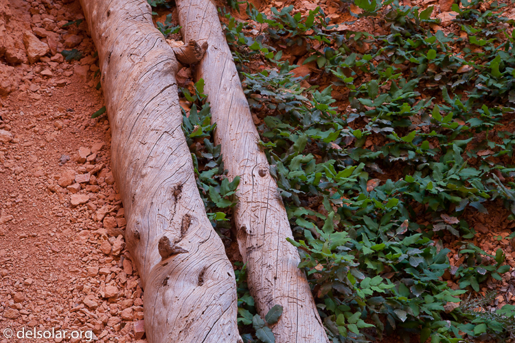 Canon EOS 5D Mark II  --  73 mm  --  EF24-105mm f/4L IS USM  