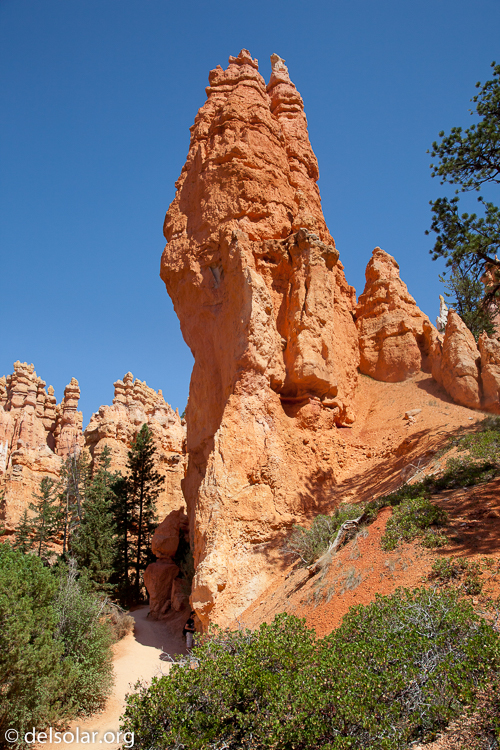 Canon EOS 5D Mark II  --  32 mm  --  EF24-105mm f/4L IS USM  