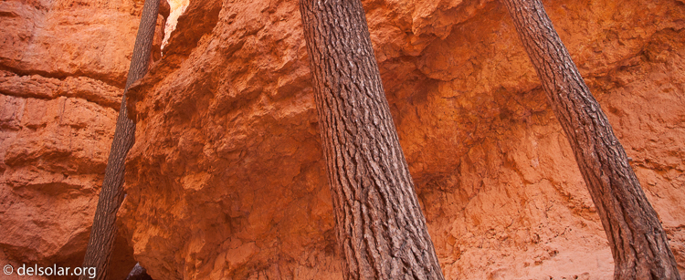 Canon EOS 5D Mark II  --  24 mm  --  EF24-105mm f/4L IS USM  