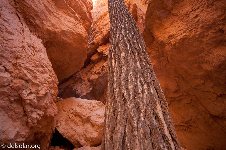 Canon EOS 5D Mark II  --  16 mm  --  12-24mm  