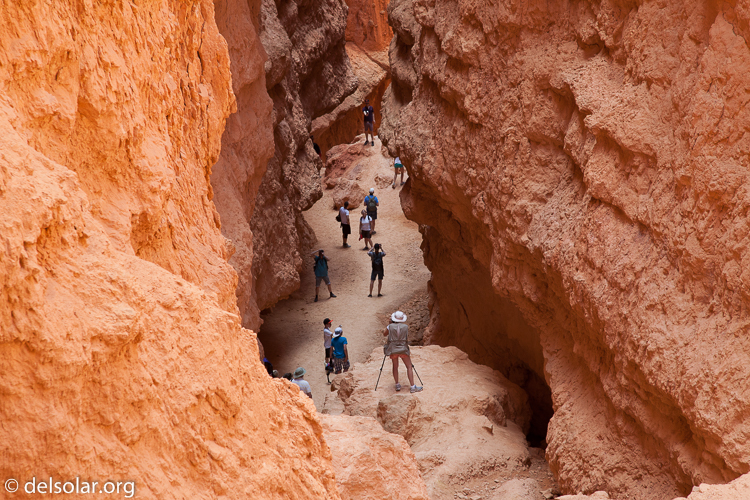 Canon EOS 5D Mark II  --  105 mm  --  EF24-105mm f/4L IS USM  