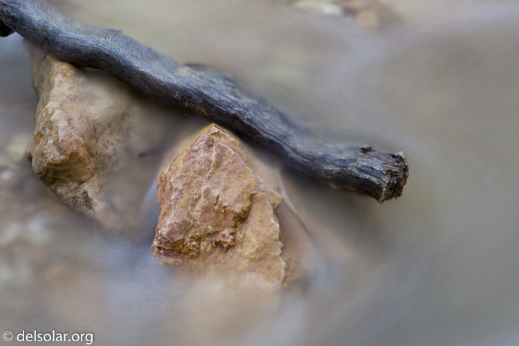 Canon EOS 5D Mark II  --  97 mm  --  EF24-105mm f/4L IS USM  