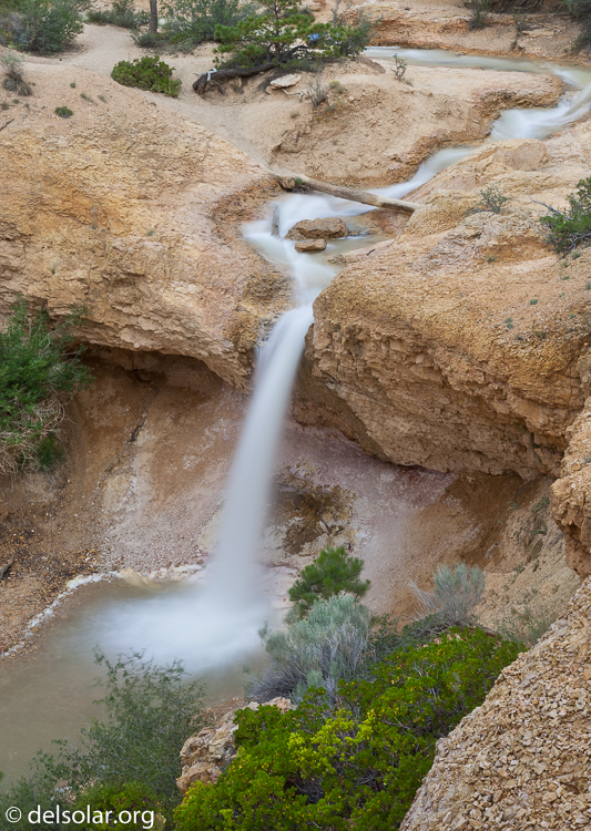 Canon EOS 5D Mark II  --  60 mm  --  EF24-105mm f/4L IS USM  