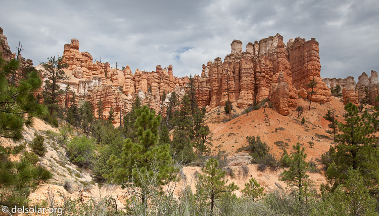 Canon EOS 5D Mark II  --  32 mm  --  EF24-105mm f/4L IS USM  