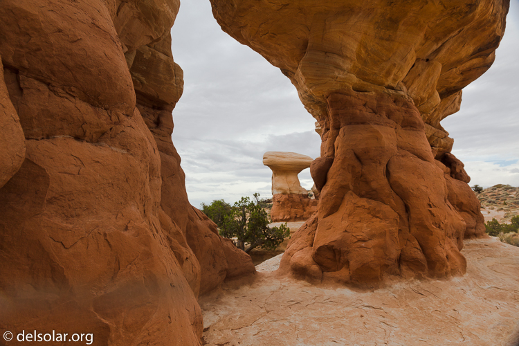 Canon EOS 5D Mark II  --  24 mm  --  EF24-105mm f/4L IS USM  