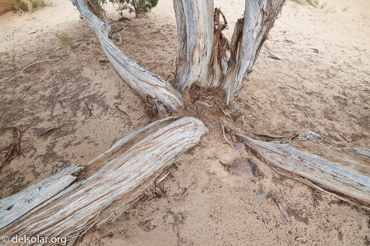 Canon EOS 5D Mark II  --  14 mm  --  14-14mm  