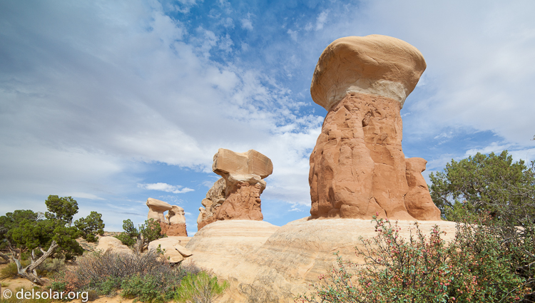 Canon EOS 5D Mark II  --  14 mm  --  14-14mm  