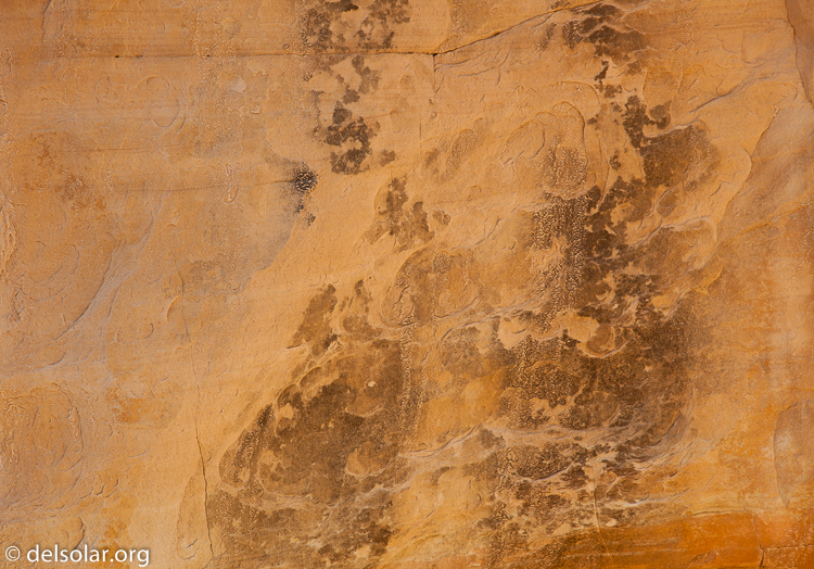 Canon EOS 5D Mark II  --  95 mm  --  EF24-105mm f/4L IS USM  