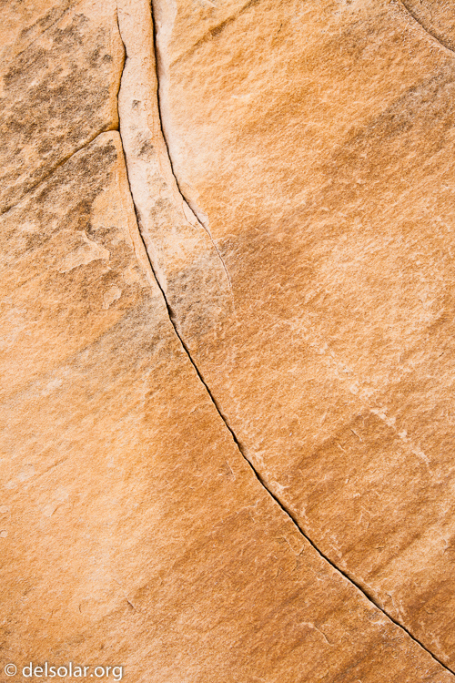 Canon EOS 5D Mark II  --  50 mm  --  EF24-105mm f/4L IS USM  