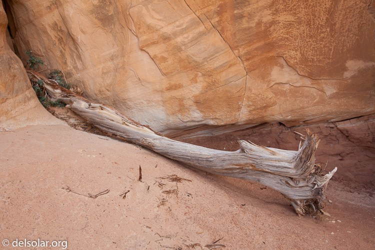 Canon EOS 5D Mark II  --  35 mm  --  EF24-105mm f/4L IS USM  