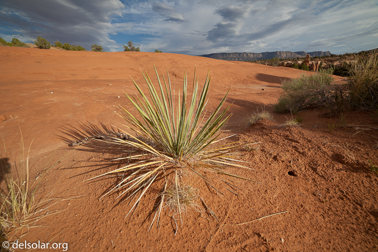 Canon EOS 5D Mark II  --  14 mm  --  14-14mm  