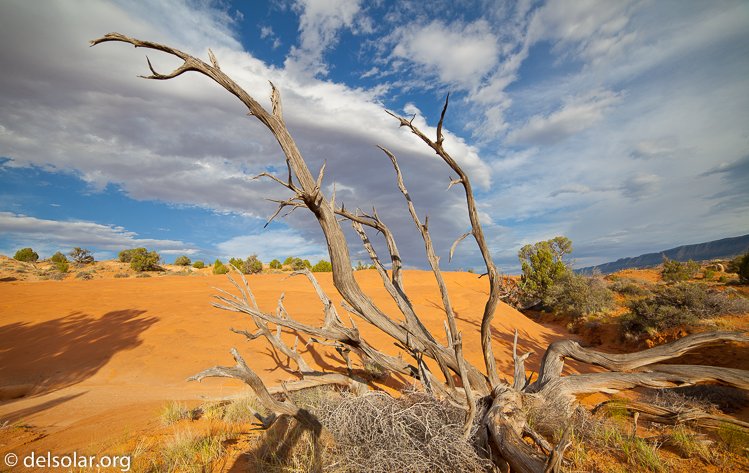 Canon EOS 5D Mark II  --  14 mm  --  14-14mm  