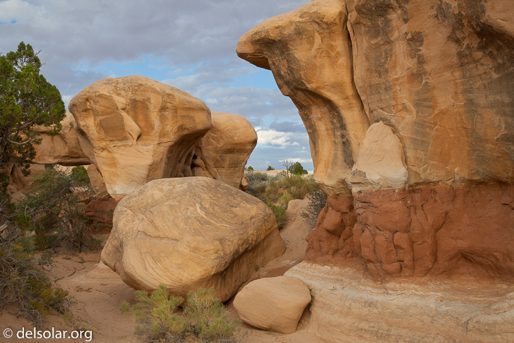 Canon EOS 5D Mark II  --  45 mm  --  EF24-105mm f/4L IS USM  