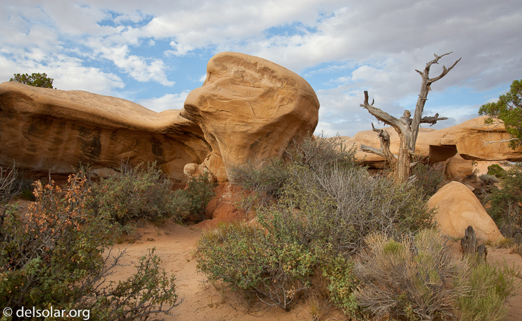 Canon EOS 5D Mark II  --  32 mm  --  EF24-105mm f/4L IS USM  