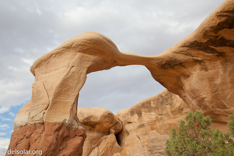 Canon EOS 5D Mark II  --  45 mm  --  EF24-105mm f/4L IS USM  