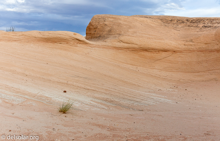 Canon EOS 5D Mark II  --  35 mm  --  EF24-105mm f/4L IS USM  