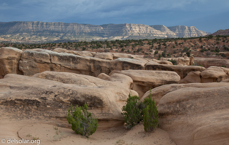 Canon EOS 5D Mark II  --  45 mm  --  EF24-105mm f/4L IS USM  