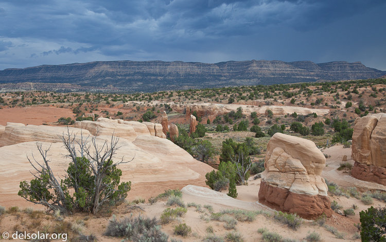 Canon EOS 5D Mark II  --  40 mm  --  EF24-105mm f/4L IS USM  