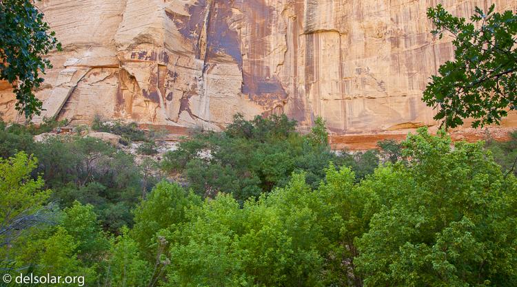 Canon EOS 5D Mark II  --  32 mm  --  EF24-105mm f/4L IS USM  