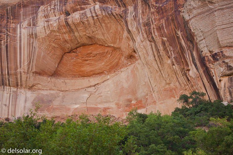 Canon EOS 5D Mark II  --  47 mm  --  EF24-105mm f/4L IS USM  