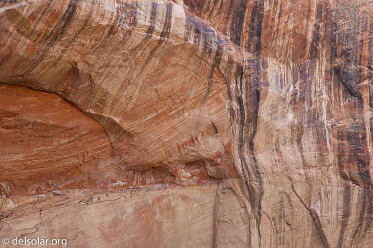 Canon EOS 5D Mark II  --  105 mm  --  EF24-105mm f/4L IS USM  