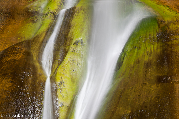 Canon EOS 5D Mark II  --  73 mm  --  EF24-105mm f/4L IS USM  