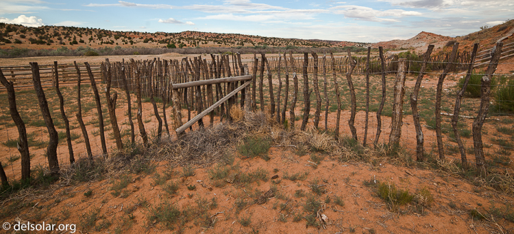 Canon EOS 5D Mark II  --  14 mm  --  14-14mm  