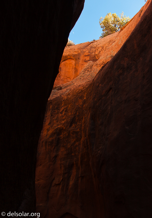 Canon EOS 5D Mark II  --  24 mm  --  EF24-105mm f/4L IS USM  