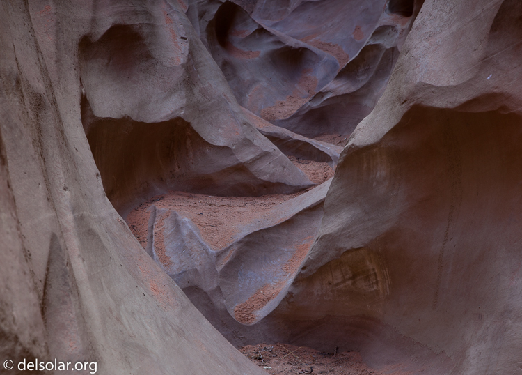 Canon EOS 5D Mark II  --  73 mm  --  EF24-105mm f/4L IS USM  